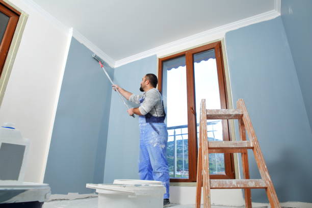 Best Mold Odor Removal Services  in Genoa, OH
