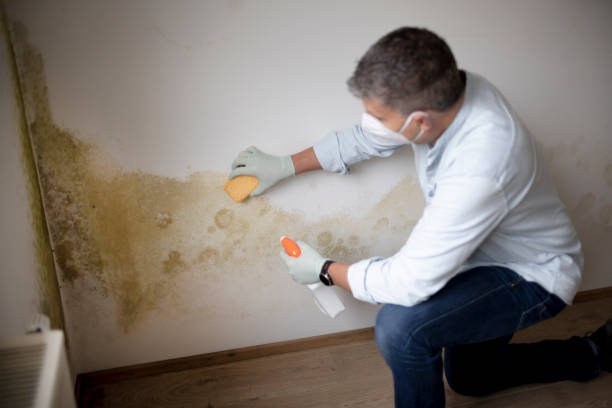 Forensic Mold Investigation in Genoa, OH