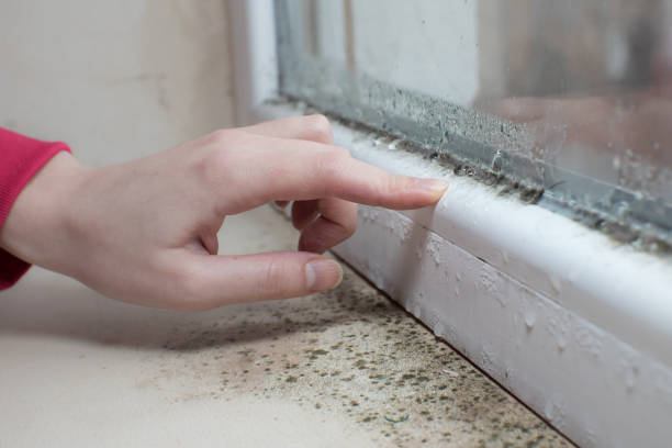 Best Real Estate Mold Inspection  in Genoa, OH