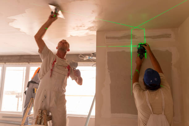  Genoa, OH Mold Removal Pros