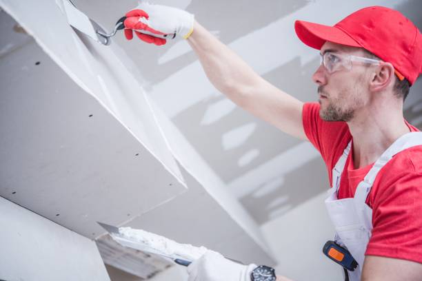 Best Dehumidification Services  in Genoa, OH